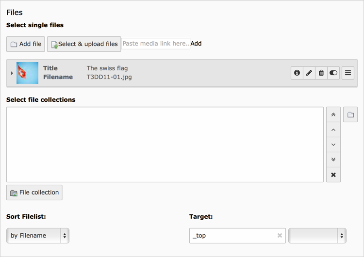 Backend display of the fields for the File links in the General tab