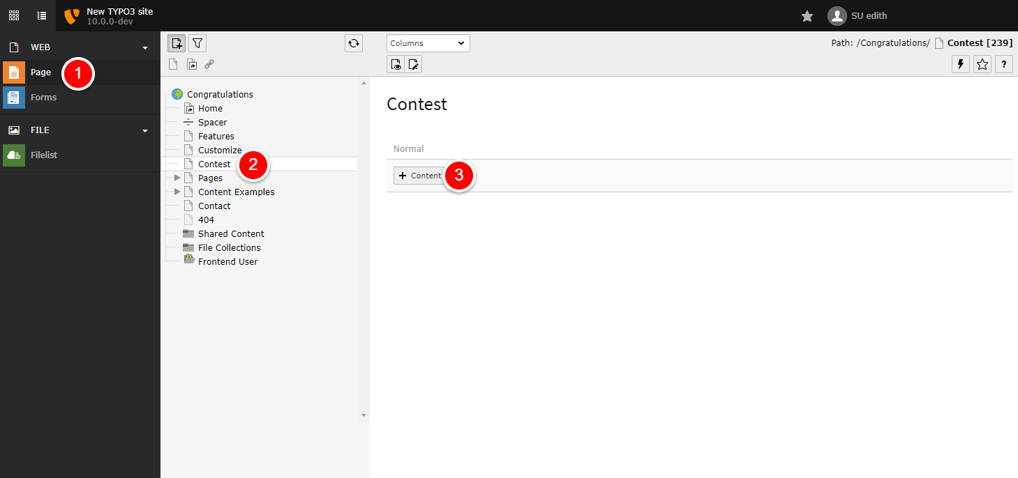 Select a page for your form