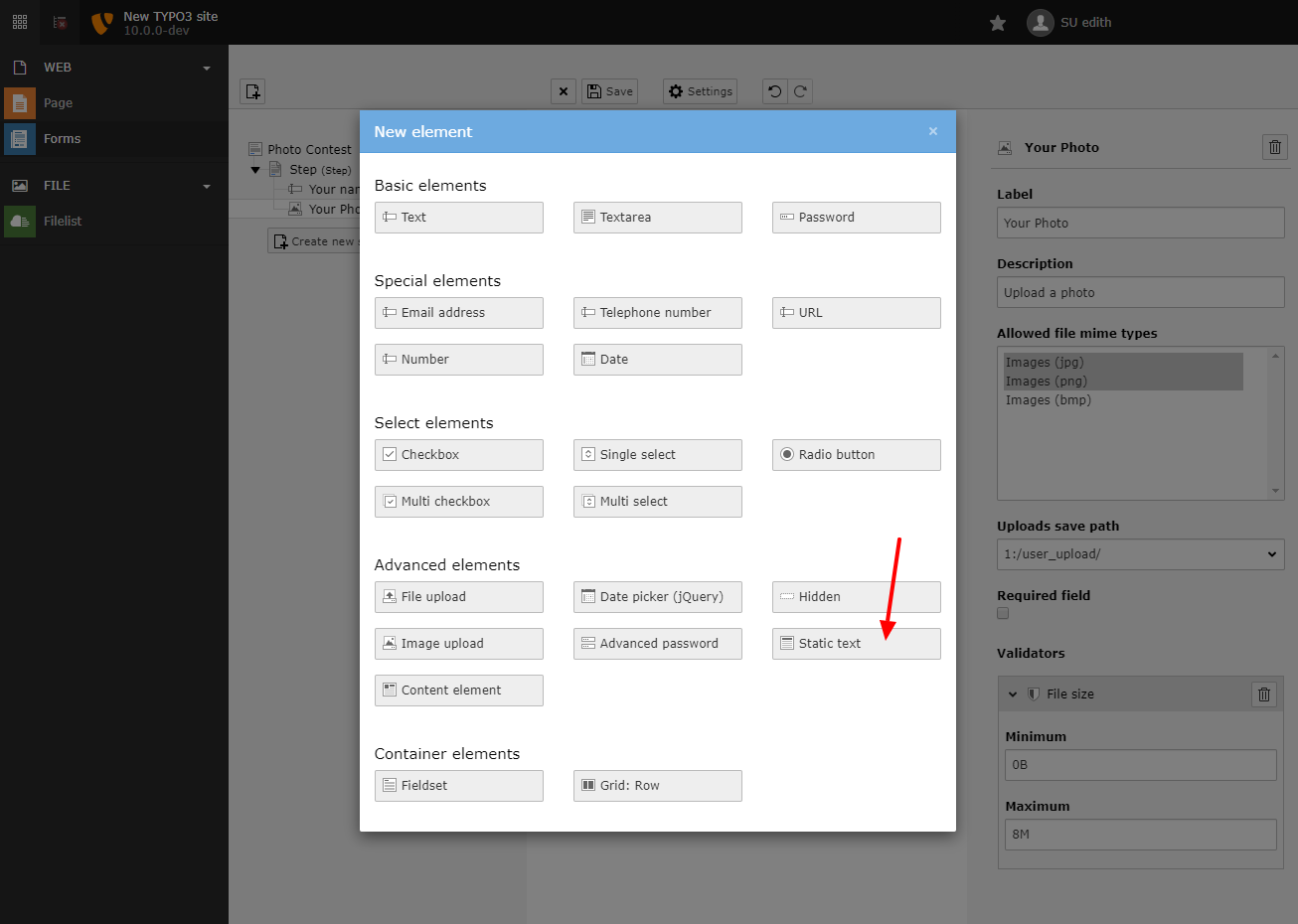 The static text type