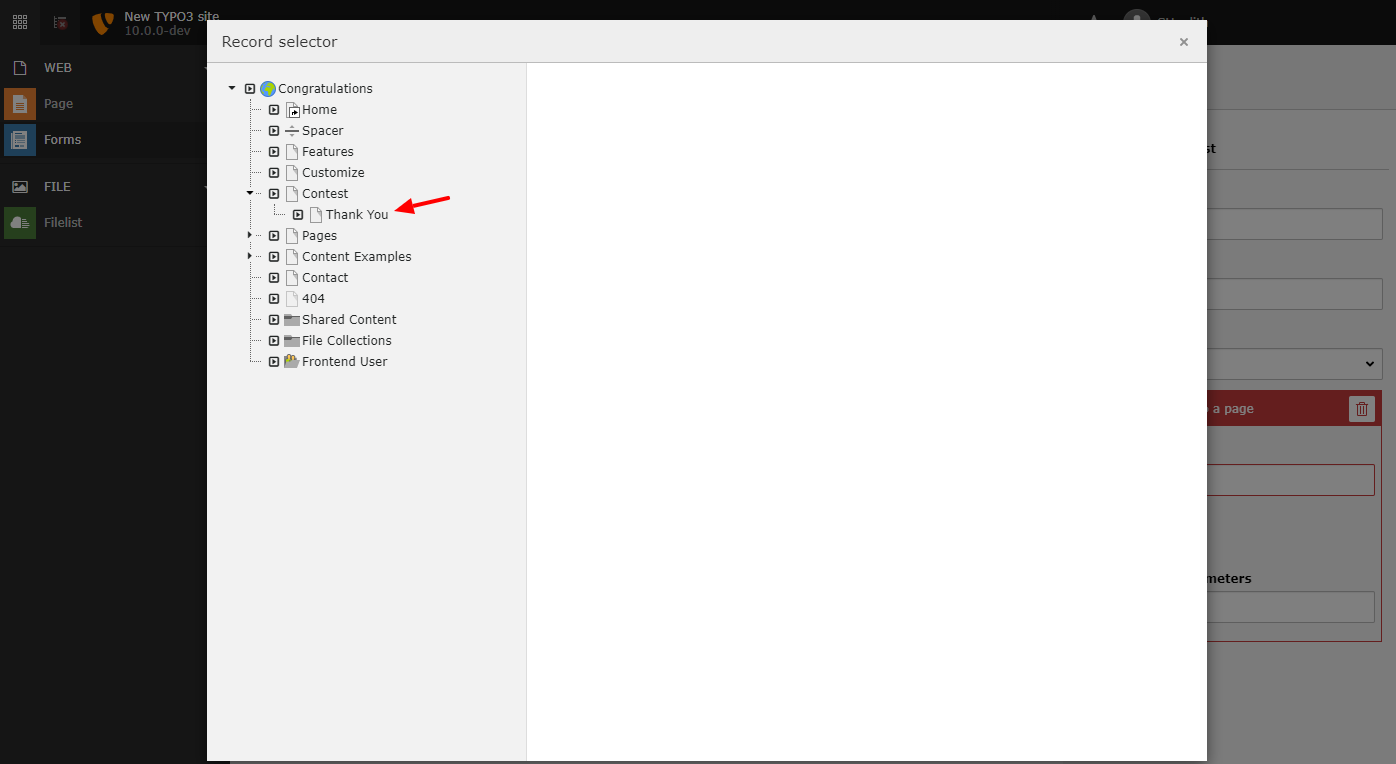 Page browser of redirect finisher.