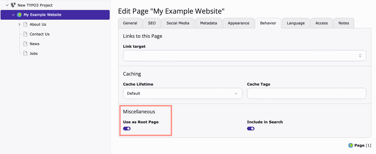 Screenshot of the Page Properties behaviour tab