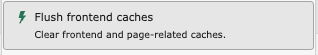 Flush frontend cache Button with a green lightning icon