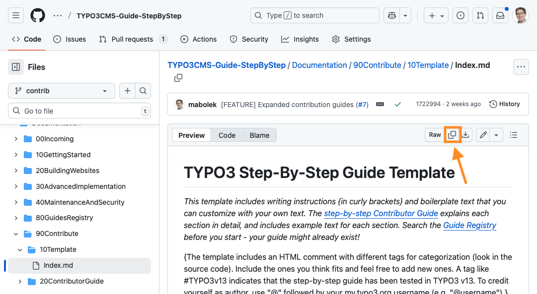 Screenshot of the TYPO3 Step-by-Step Guide template on GitHub. An orange arrow points to a button with two partially overlapping squares with an orange highligt frame.