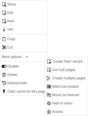 Context menu of the page tree