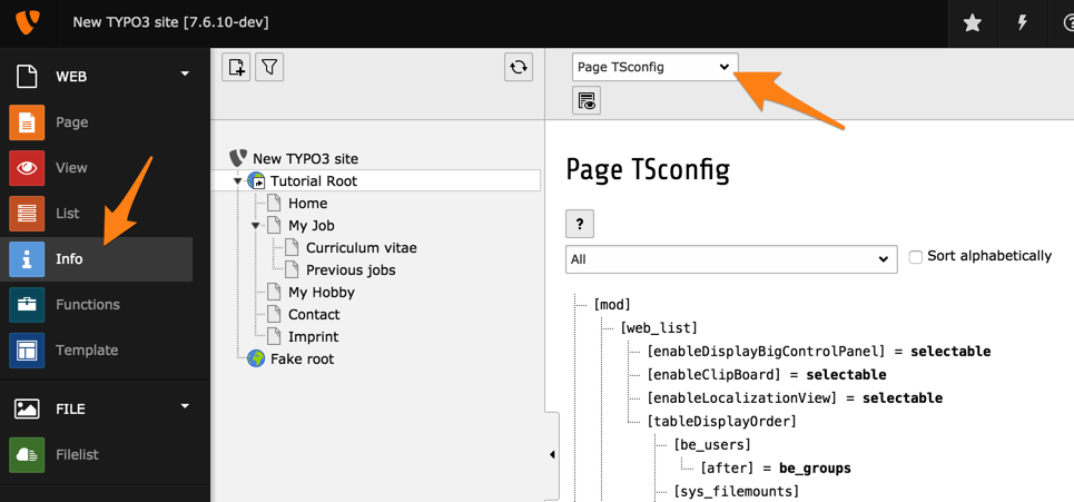 Viewing Page TSconfig using the Info module