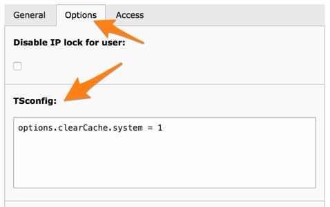 The TSconfig field in the Options tab of a BE user