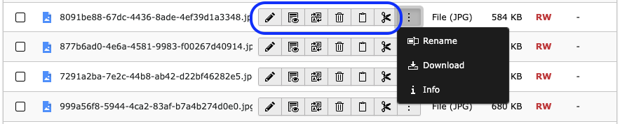 Show primary action with additional copy, cut and replace buttons
