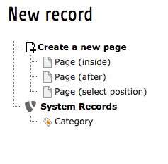 The New record screen after modifying the allowed elements