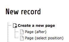 The modified New record screen without Page (inside)