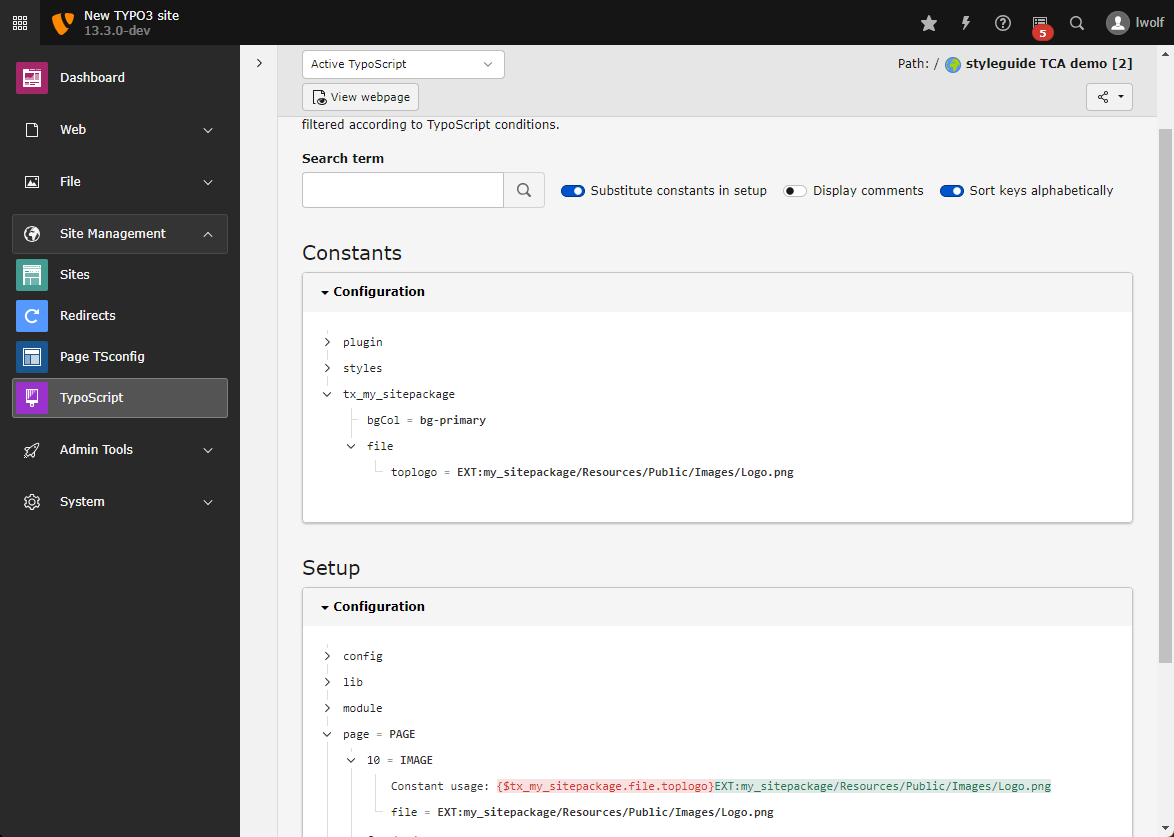 Screenshot of the Active TypoScript submodule in the TYPO3 Backend