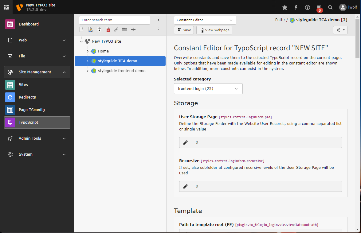 Screenshot of the TYPO3 Backend showing the constant editor