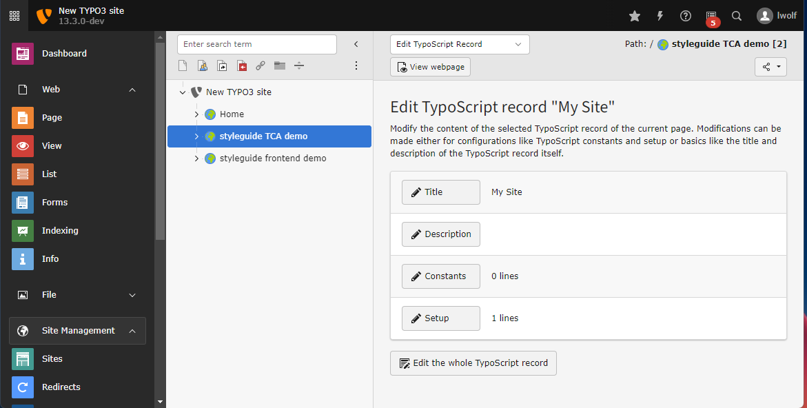 The submodule "Edit TypoScript Record" in the TYPO3 Backend.