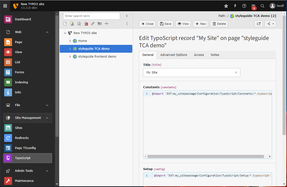The submodule whole TypoScript record in edit mode