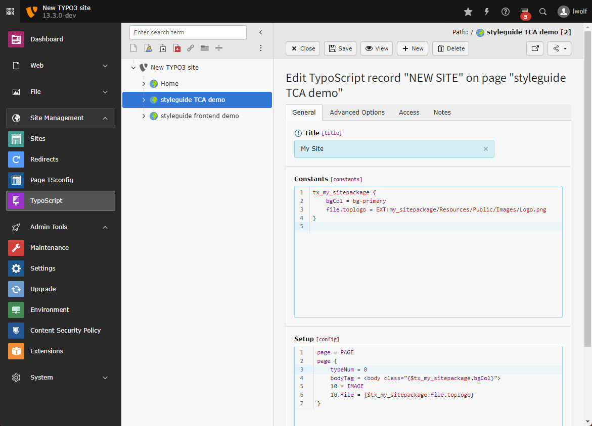 Screenshot of the TypoScript record editor showing the Constants and Setup fields