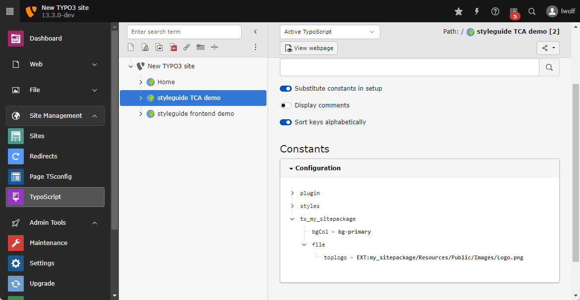 A Screenshot showing the "Constants" section of the "Active TypoScript" submodule.