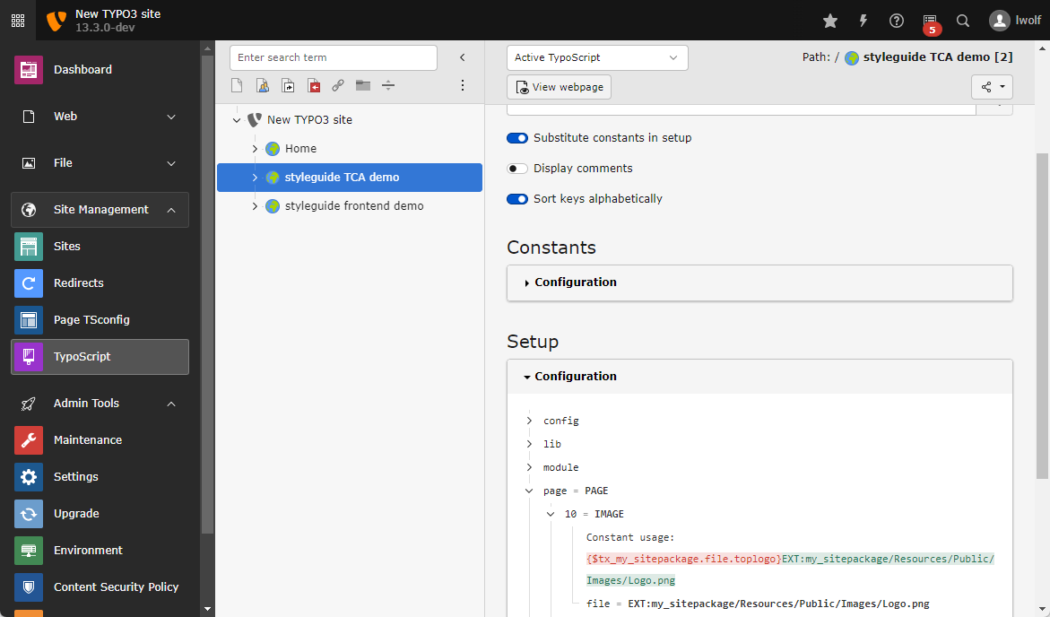 Screenshot of the Active TypoScript with constants substituted
