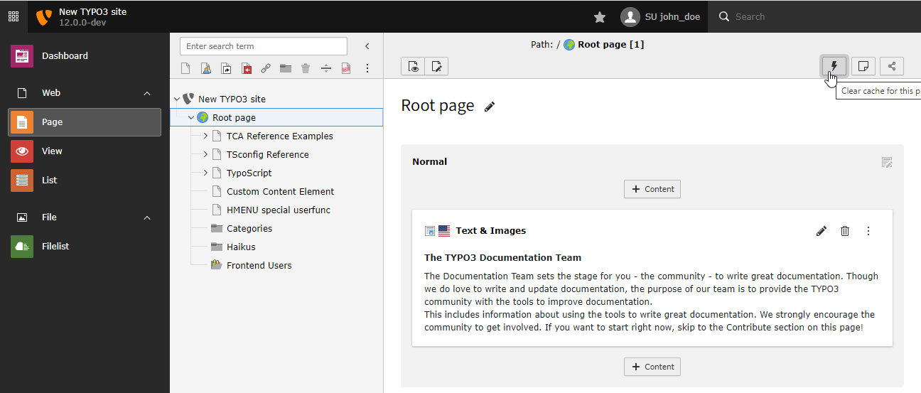 Clear cache for this page