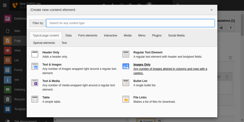 The 'Typical Page Content' tab of the new content element window