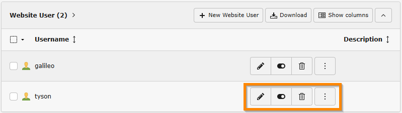 Example of the action icons available for record type "Website Usergroup"