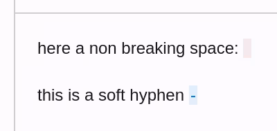 A non-breaking space and a soft hyphen highlighted in the rich text editor