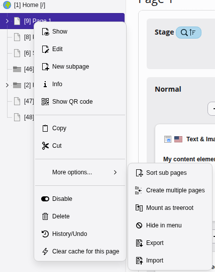 Right click on a page to see context menu