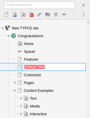 Inserting a page title