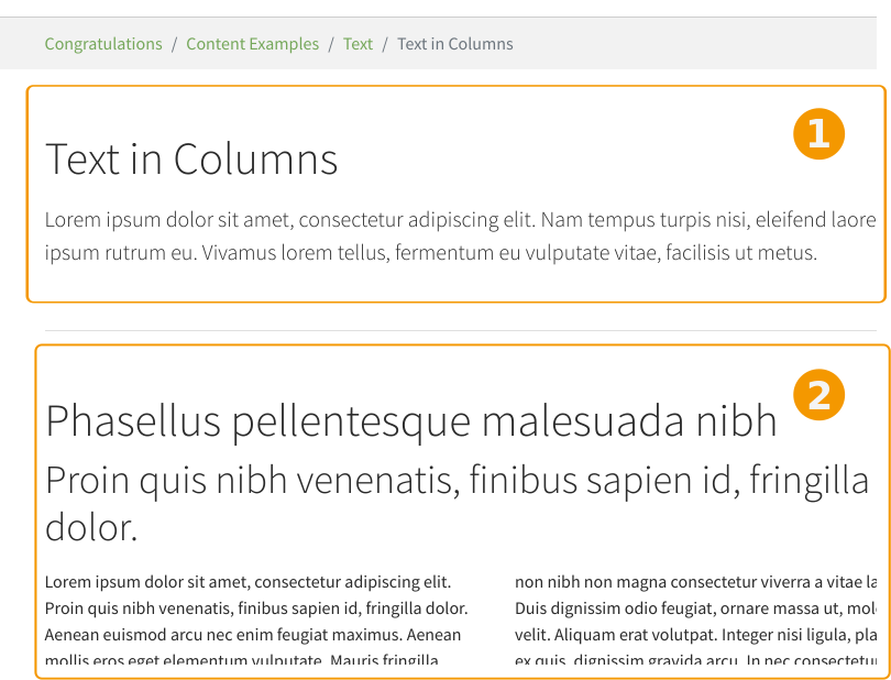 Page content seen from the frontend