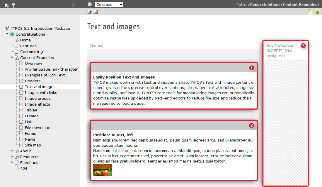 Page content seen from the backend