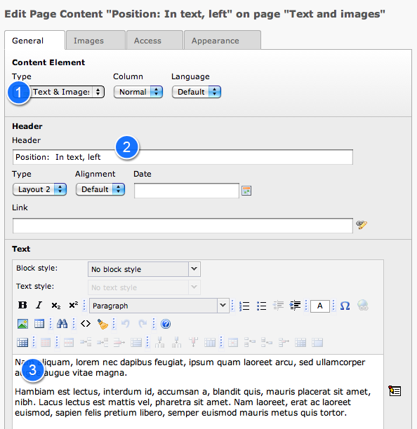 The edit form for the page content.