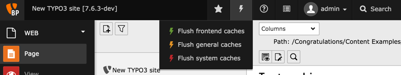 The top bar with the flush cache menu open