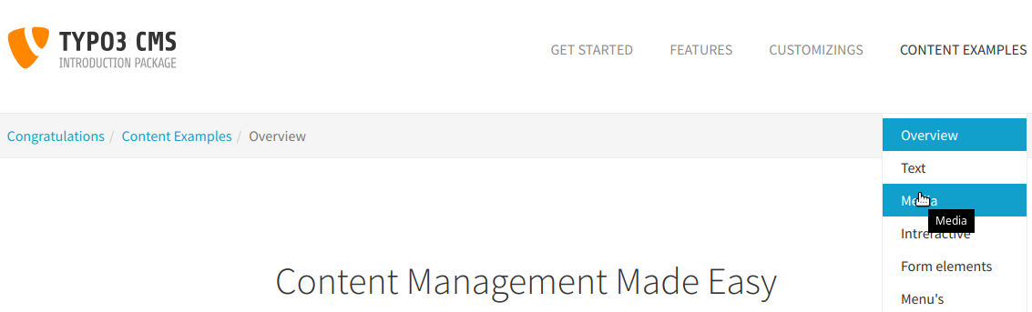 Frontend of the Introduction Package