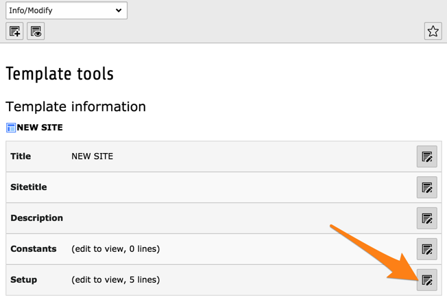 Editing the "Setup" field of the current template