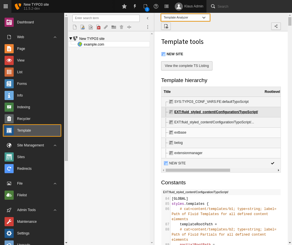 The template structure as seen with the Template Analyzer