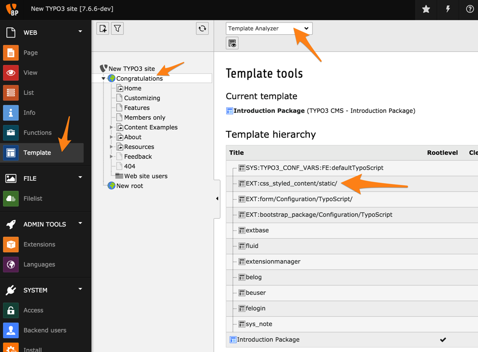 The template structure as sees with the Template Analyzer