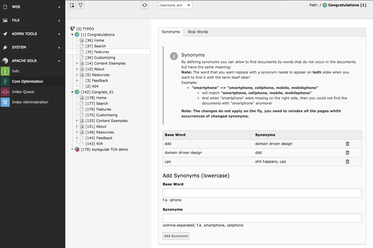 ../_images/solr-backend-module_CoreOptimization-Synonyms.png