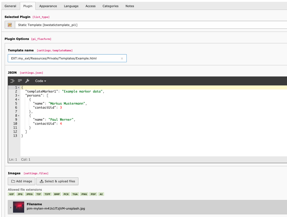 Plugin in the TYPO3 Backend