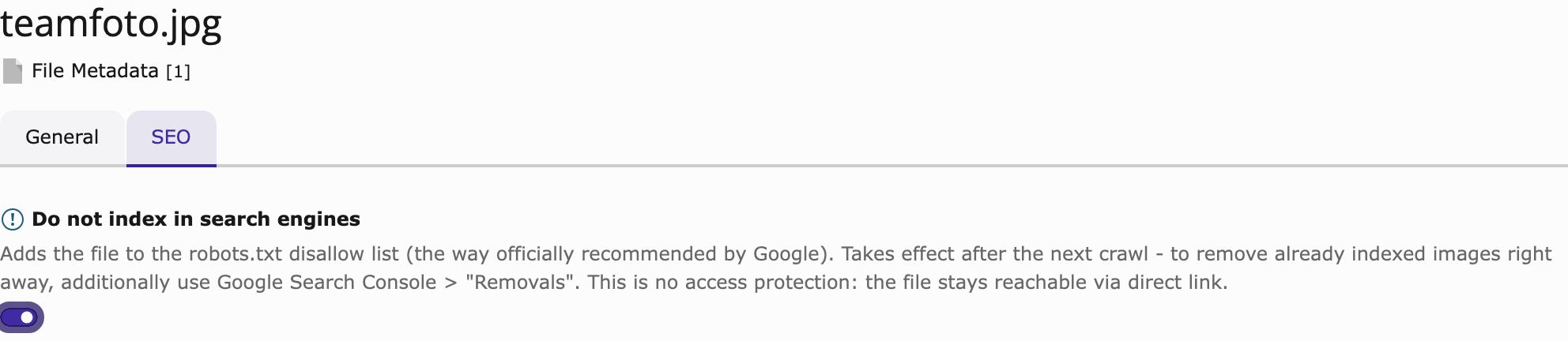 The "Do not index in search engines" checkbox on the SEO tab