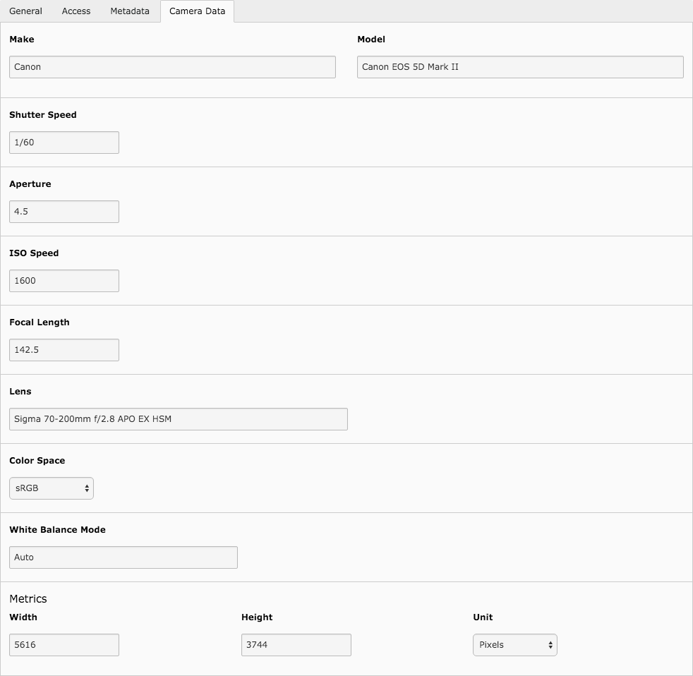 Metadata for an image