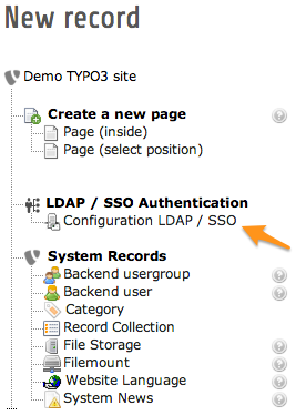Creating a record "Configuration LDAP / SSO"