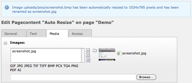 Example of an image that has been automatically converted from one format to another