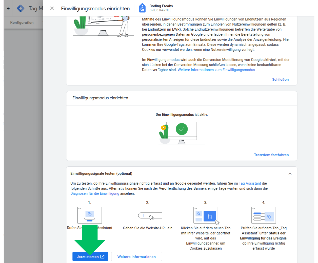 Consentmode Admin - Debug