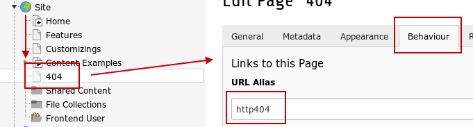 ../_images/custom-error-page.png
