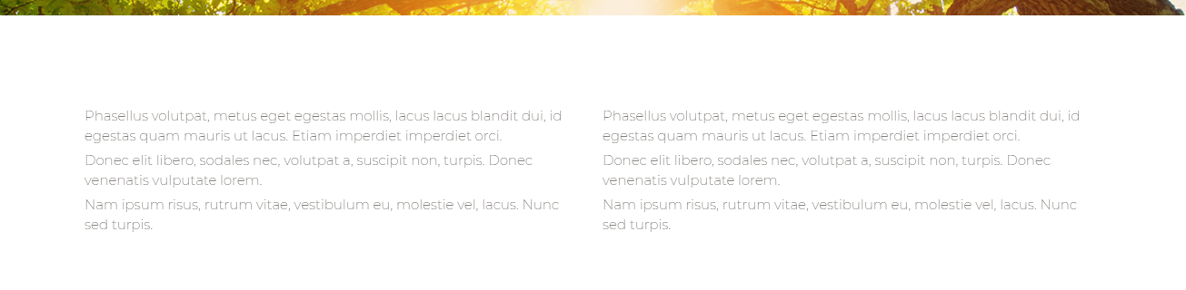 Frontend view