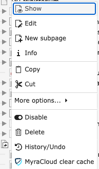 View of page context menu showing Myra Clear Cache option