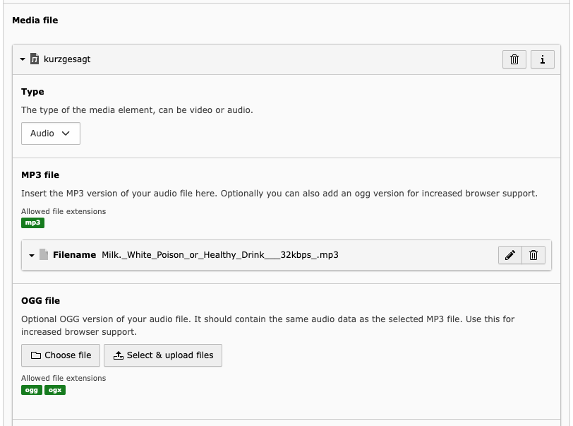 A screenshot of a Backend form for editing an audio content element