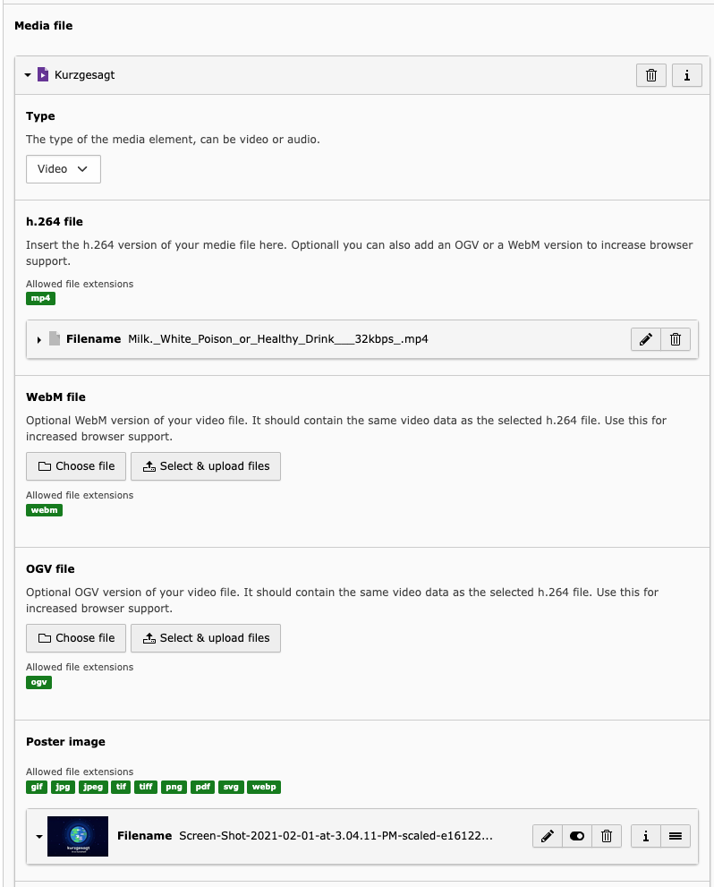 A screenshot of the Backend form for editing a video content element