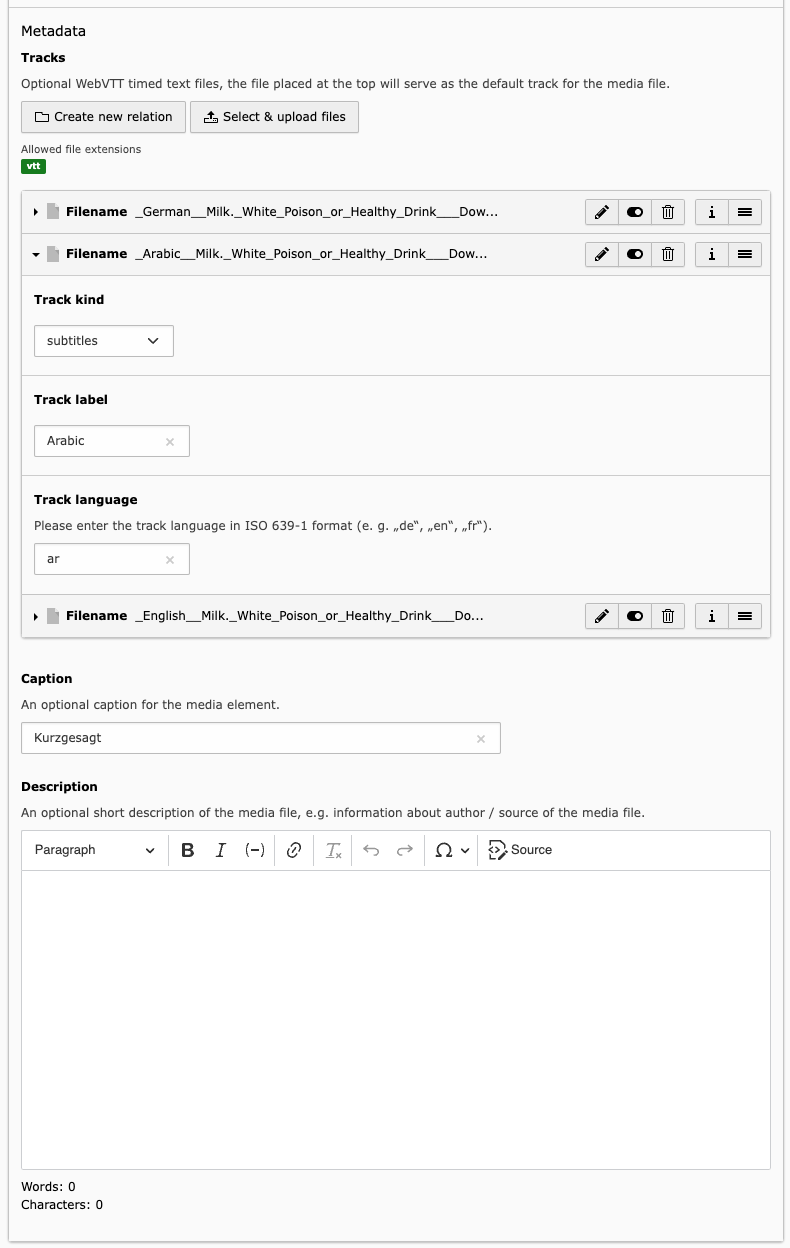 A screenshot of the Backend form for editing the metadata of a media element