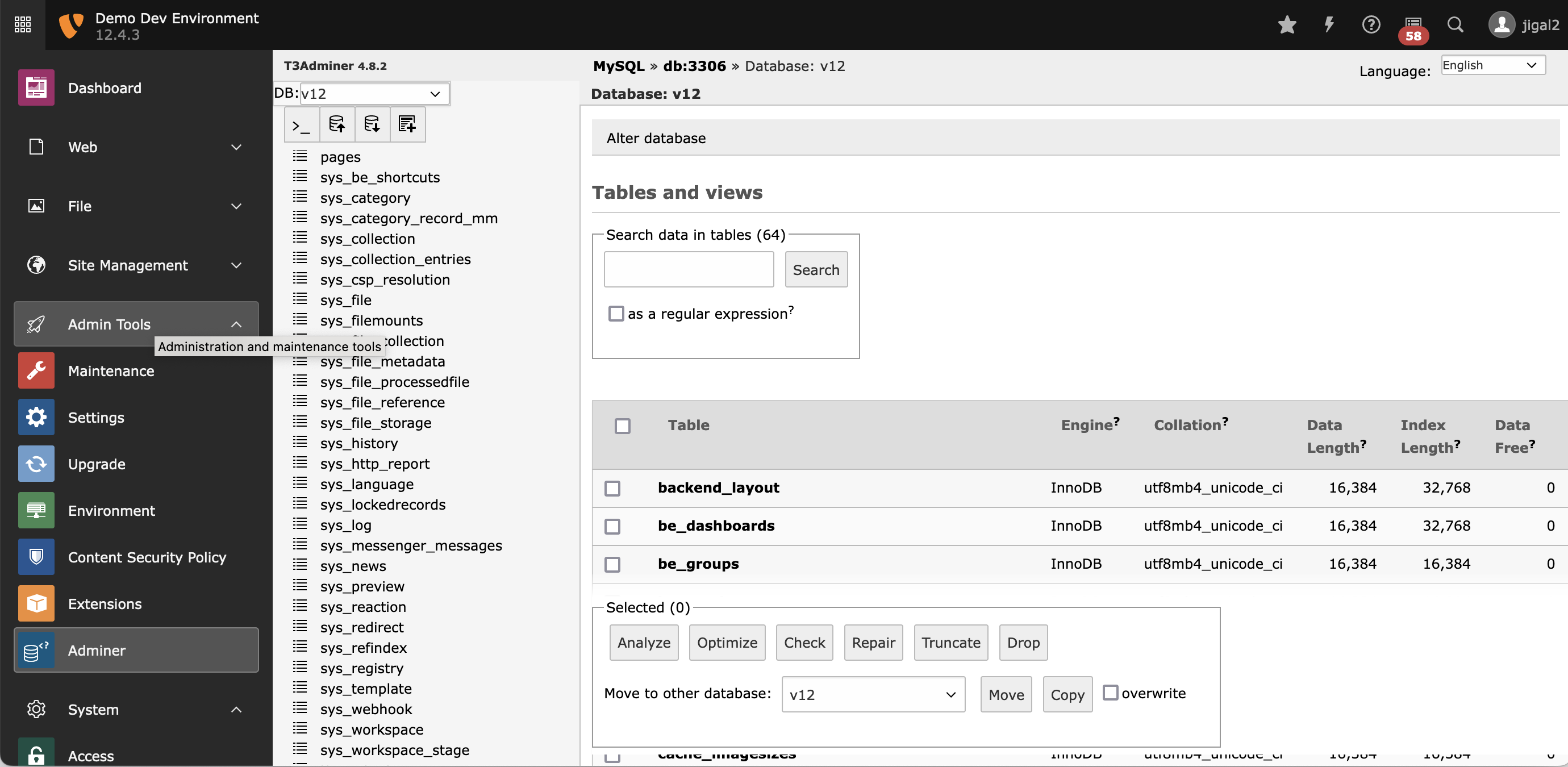 Starting screen of adminer