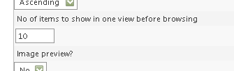 New FlexForm Feature: Browse next X items per page