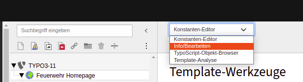 Auswahlbox für TypoScript Template Werkzeuge